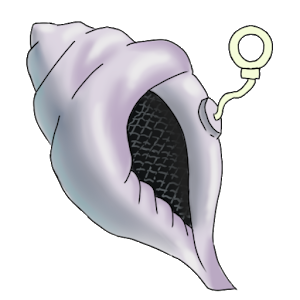 Magic conch